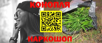 стаф Новозыбков