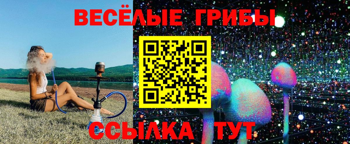 Феодосия  Галлюциногенные грибы прущие грибы  Вход с VPN 